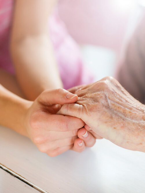 senior home care senior home care